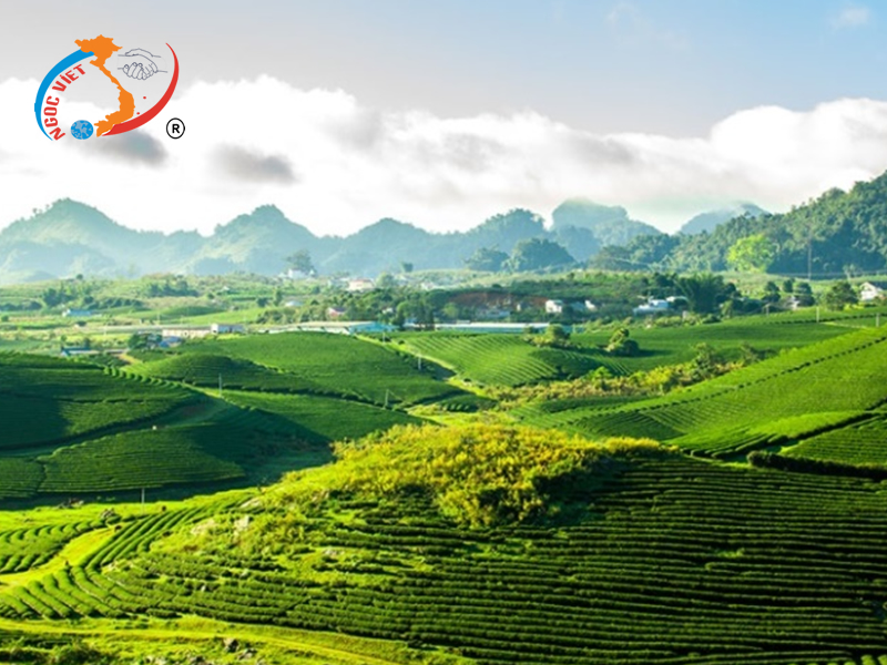 SAPA - FANSIPAN - LAI CHÂU - ĐIỆN BIÊN - SƠN LA - MỘC CHÂU - MAI CHÂU