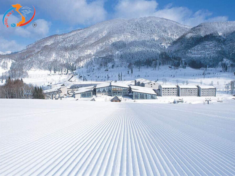 TOUR NHẬT BẢN- NARITA – TOKYO – FUJI –  NAGOYA – KANSAI