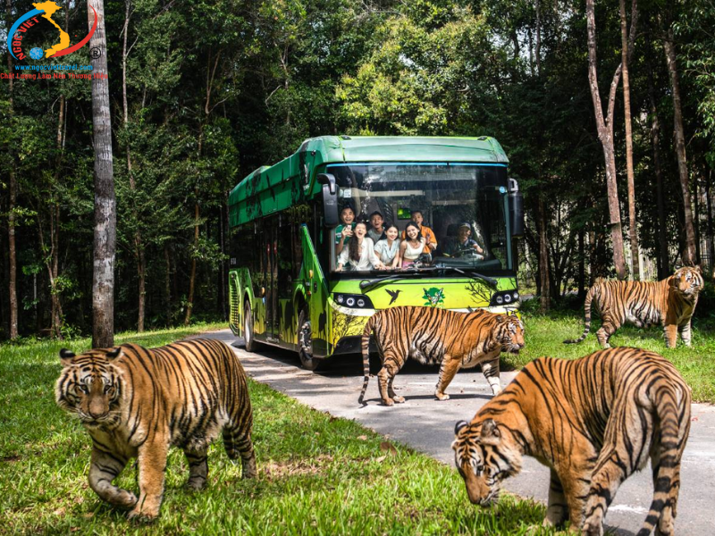 TOUR PHÚ QUỐC - 3N2Đ - KHÁM PHÁ VẺ ĐẸP CỦA ĐẢO NGỌC