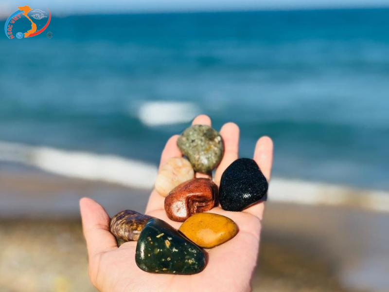 NHA TRANG 3N3D – VỊNH SAN HÔ - CHINH PHỤC CÁP TREO VINPEARL HARBOUR